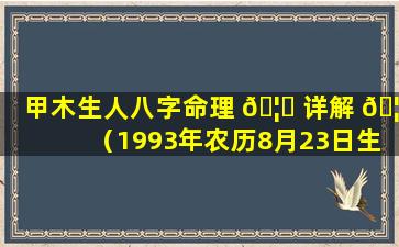 甲木生人八字命理 🦊 详解 🦍 （1993年农历8月23日生人的八字命理）